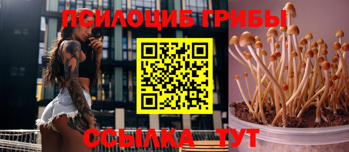 Галлюциногенные грибы MAGIC MUSHROOMS Сочи